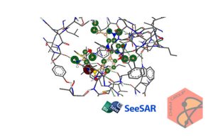شبیه سازی ترکیبات مولکولی و اتمی SeeSAR v5.4