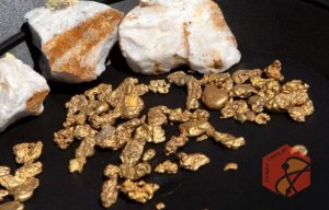 استفاده از باکتری برای فرآوری طلا